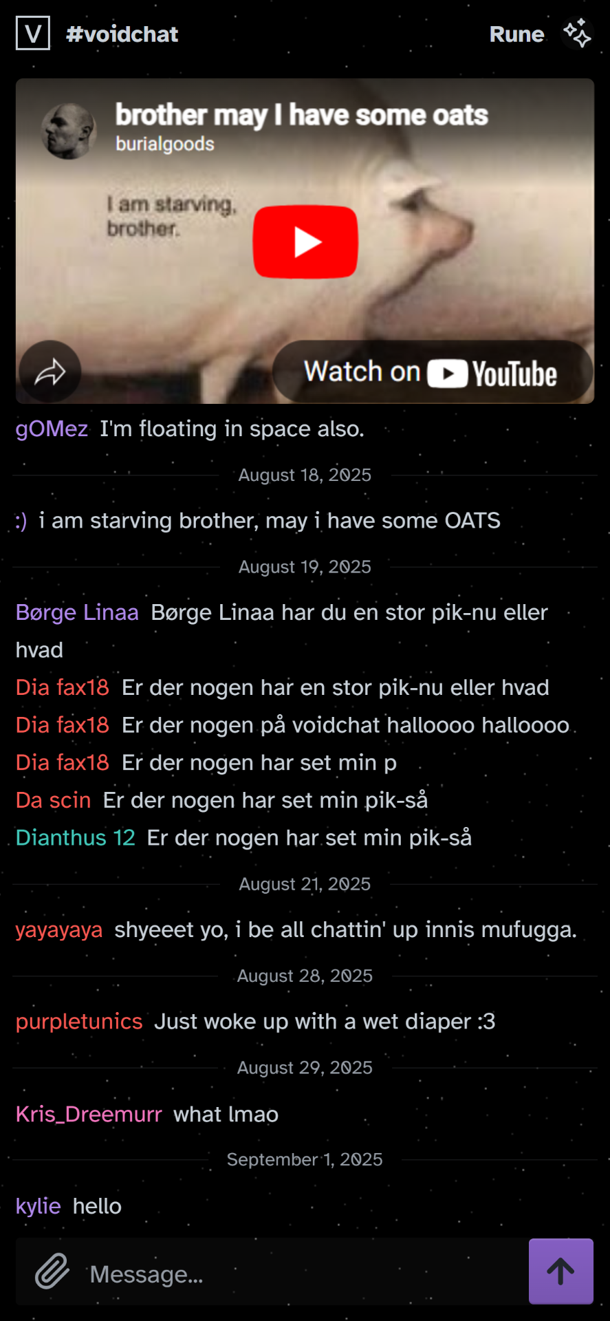 voidchat screenshot